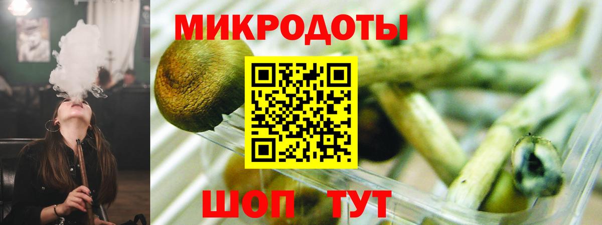 Галлюциногенные грибы GOLDEN TEACHER Красноярск