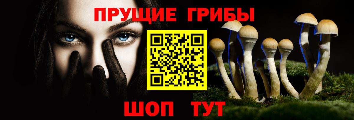 Красноярск  Галлюциногенные грибы MAGIC MUSHROOMS  Вход с VPN  где купить наркотик  Псилоцибиновые грибы мухоморы 